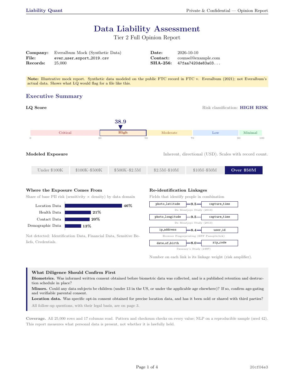Mock LQ report for an Everalbum-style dataset: executive summary